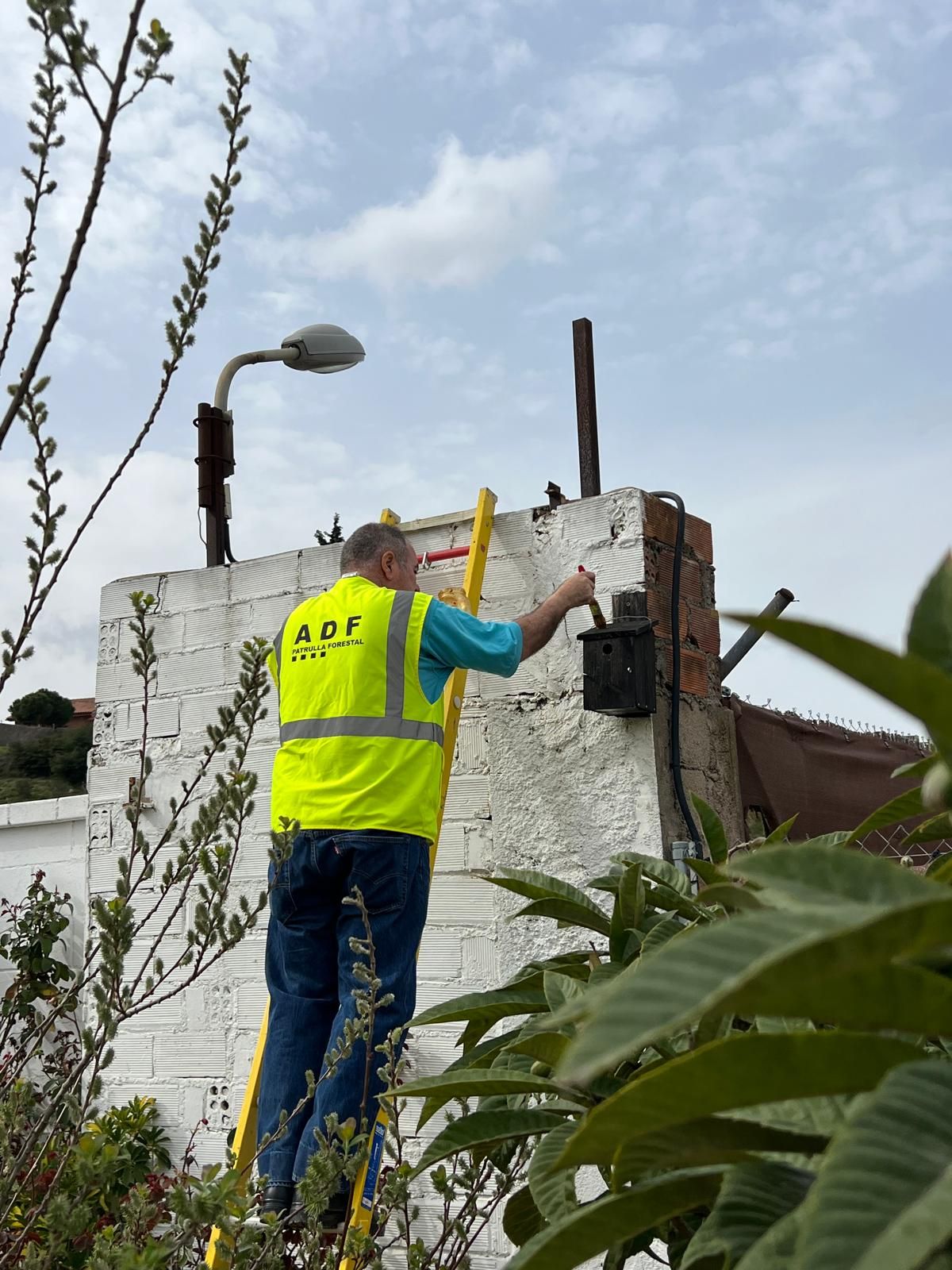 Cuidar la natura comença a casa nostra: Biodiversitat a la Base de l'ADF 301